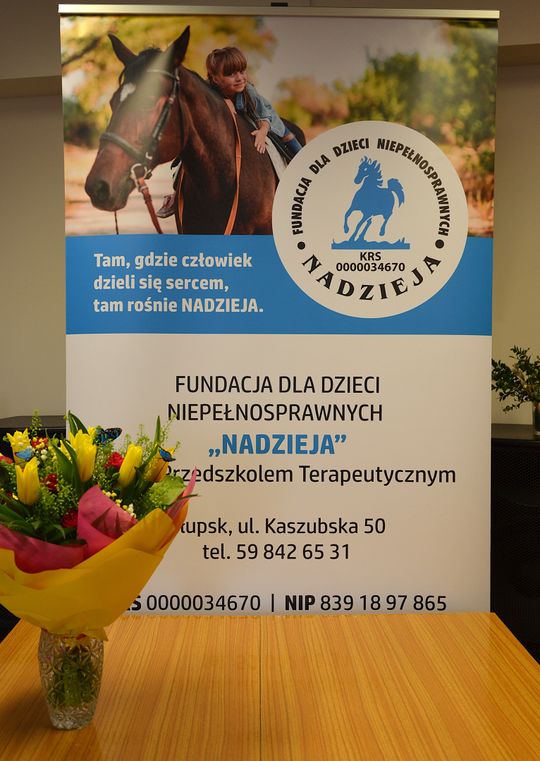 Instalacja fotowoltaiczna